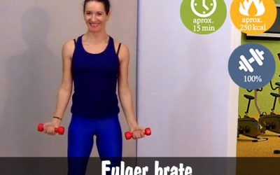 Antrenamet fulger brate