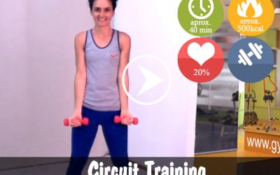 Circuit Training