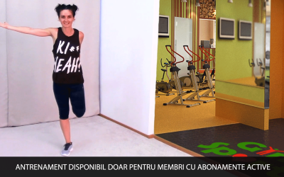Total Body Workout
